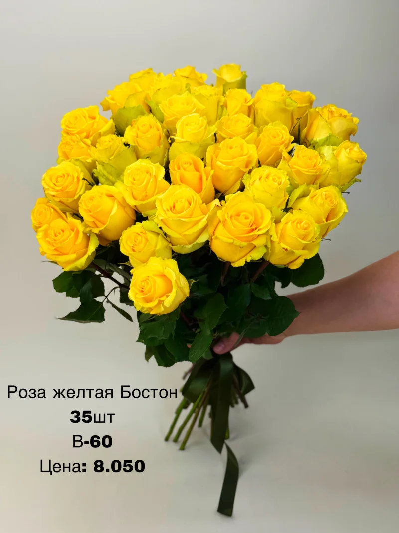Роза желтая Бостон, 35 шт