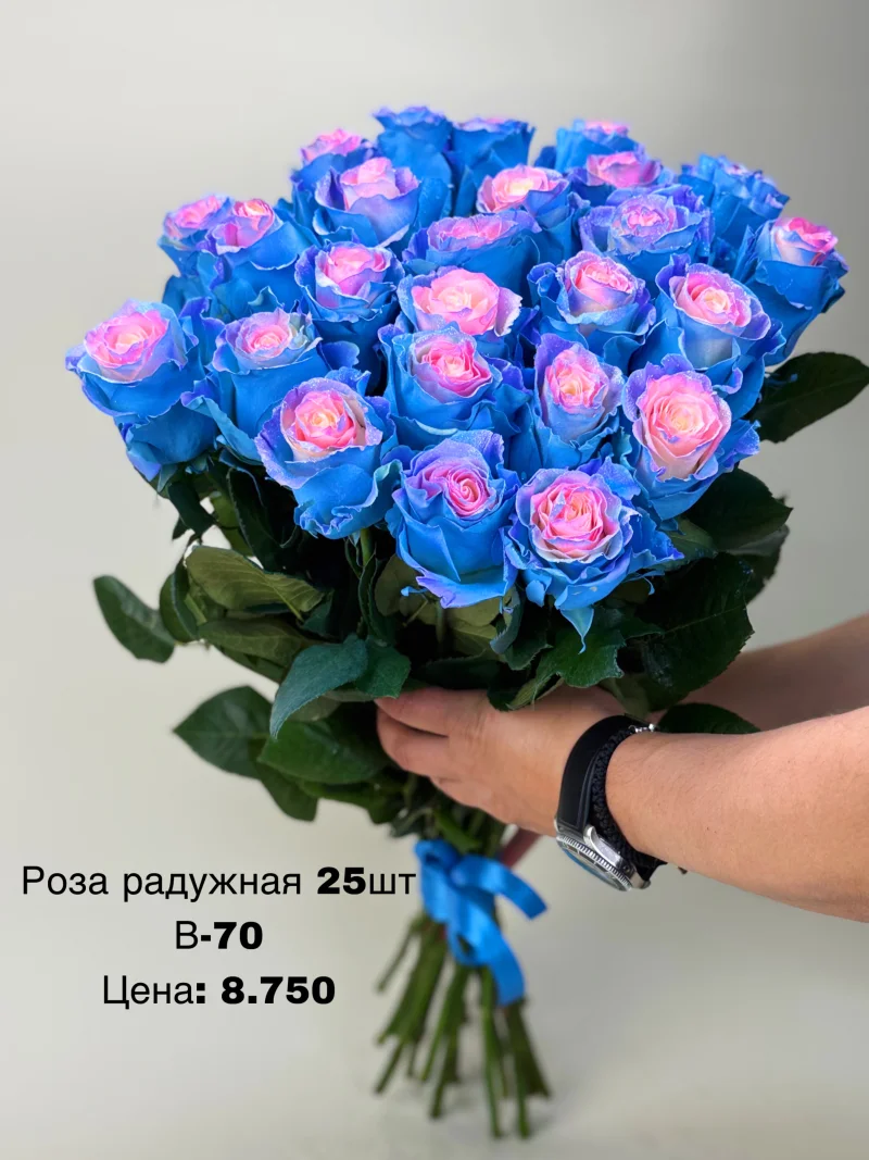 Роза радужная, 25 шт