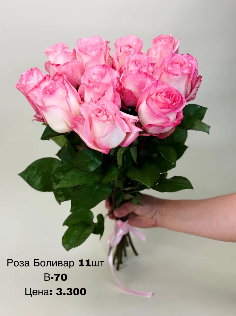 Роза Боливар, 11 шт