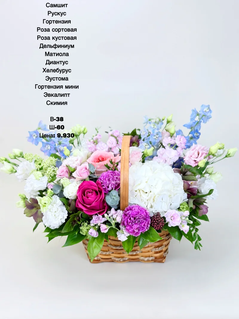 Скимия