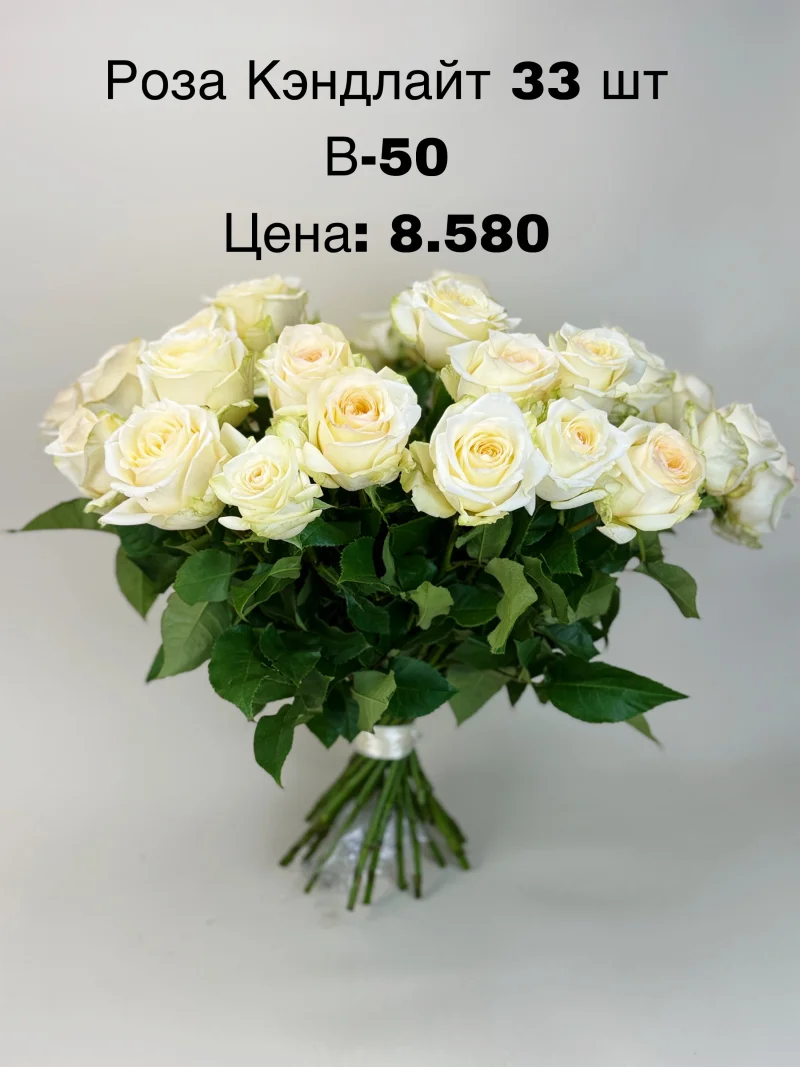 Роза Кэндлайт, 33 шт