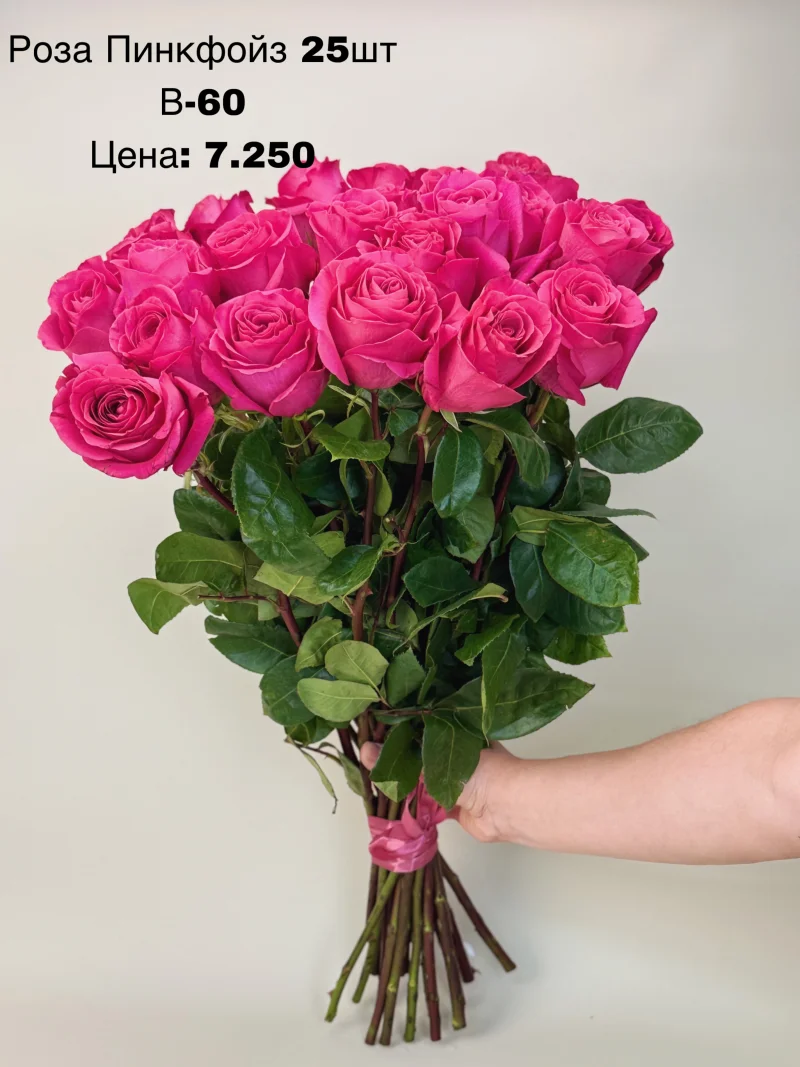 Роза Пинкфойз, 25 шт