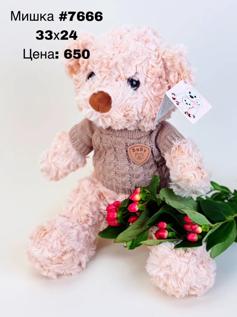 Плюшевый мишка #7666