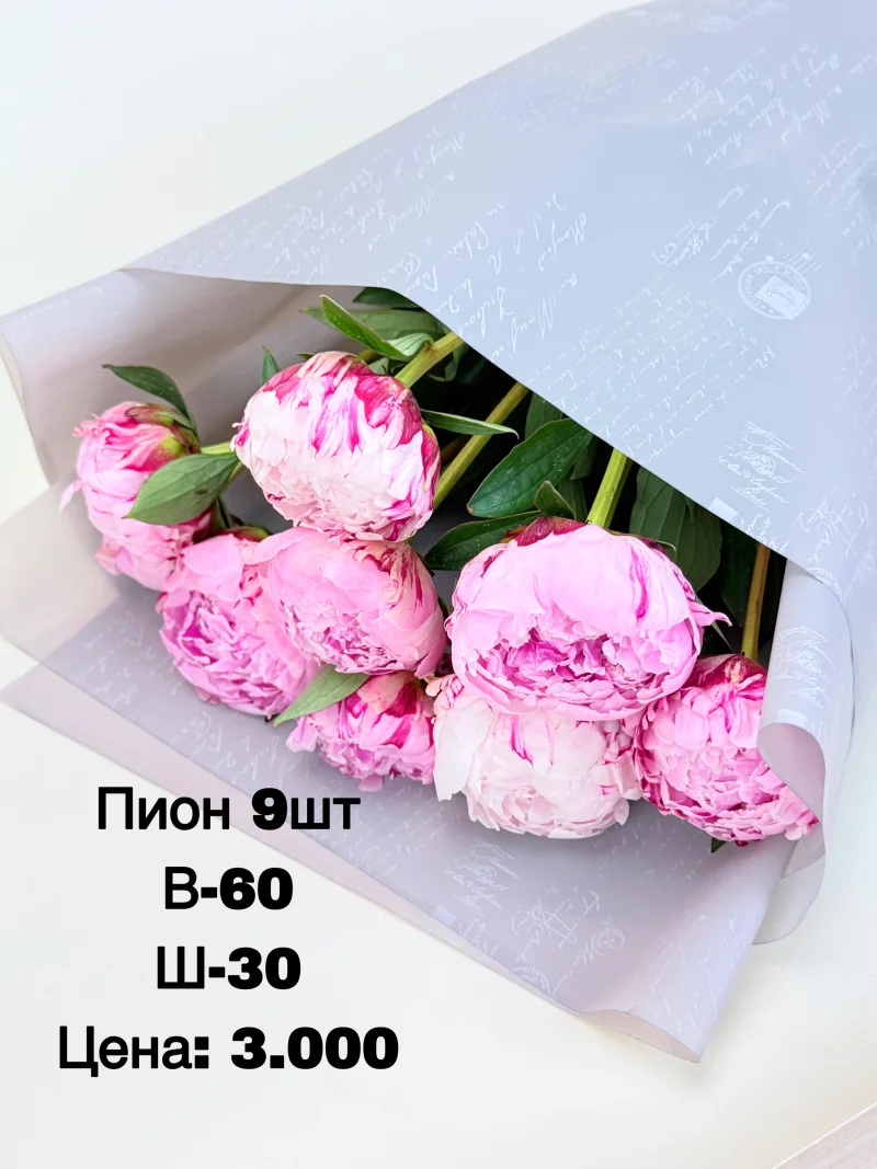 Пион, 9 шт