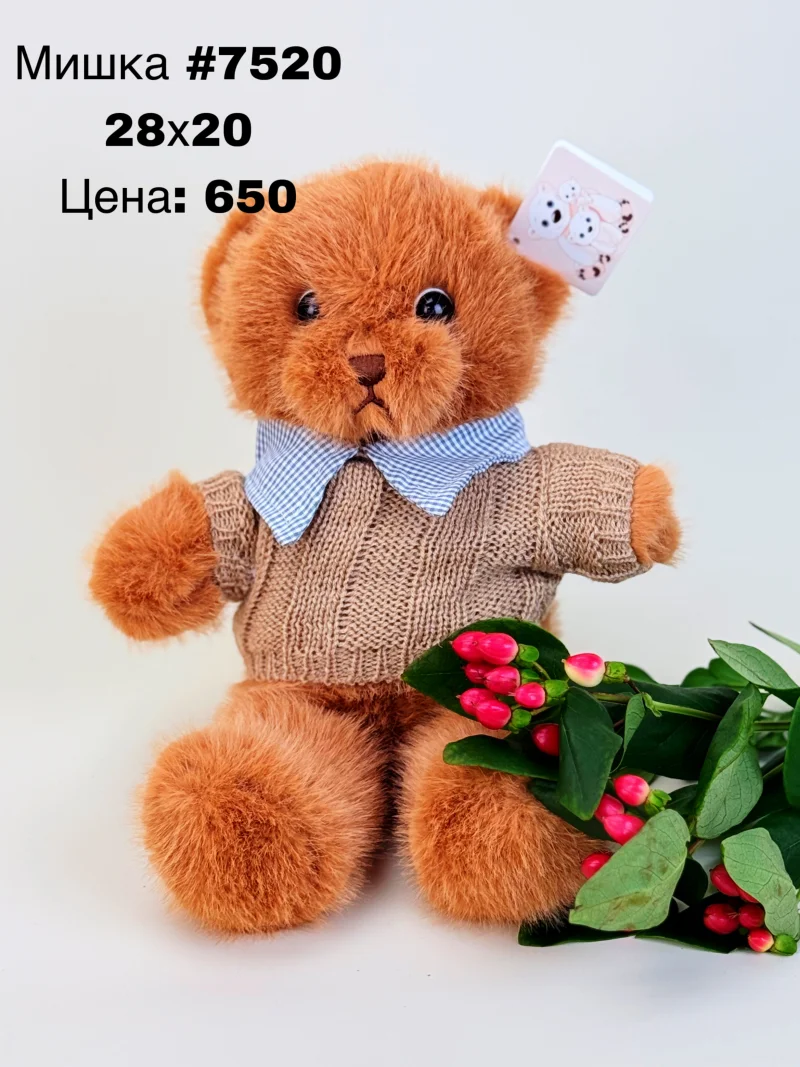 Плюшевый мишка #7520