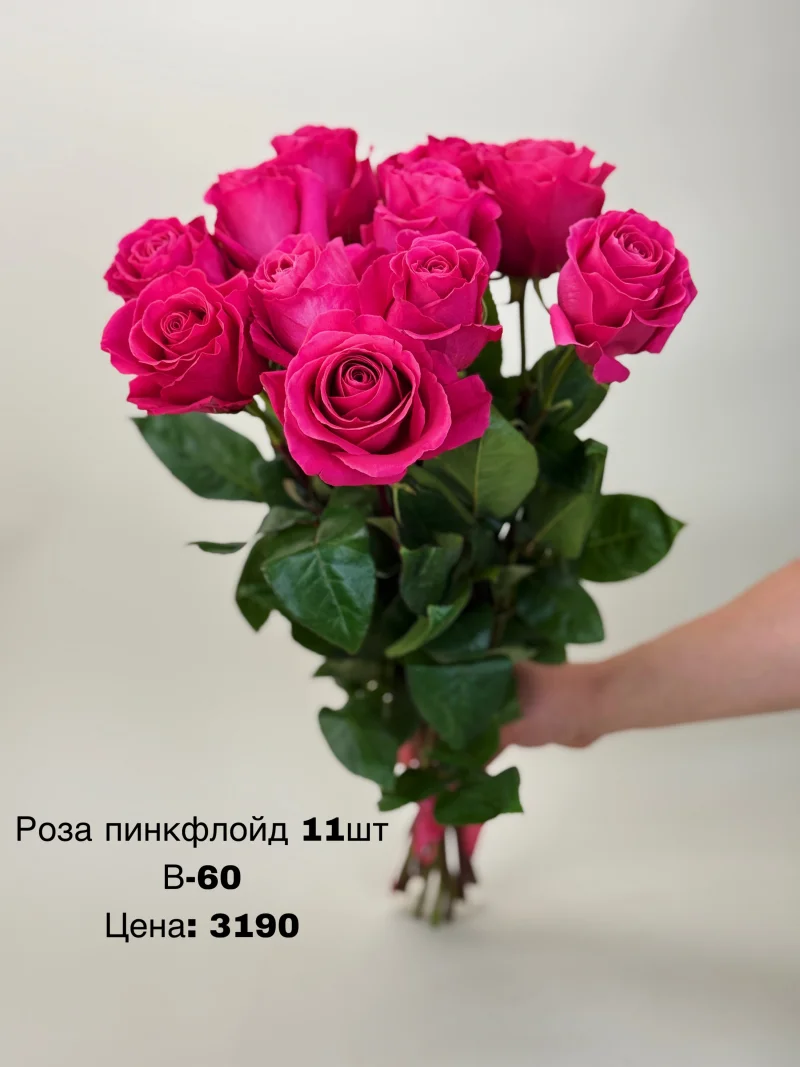 Роза пинкфлойд, 11 шт