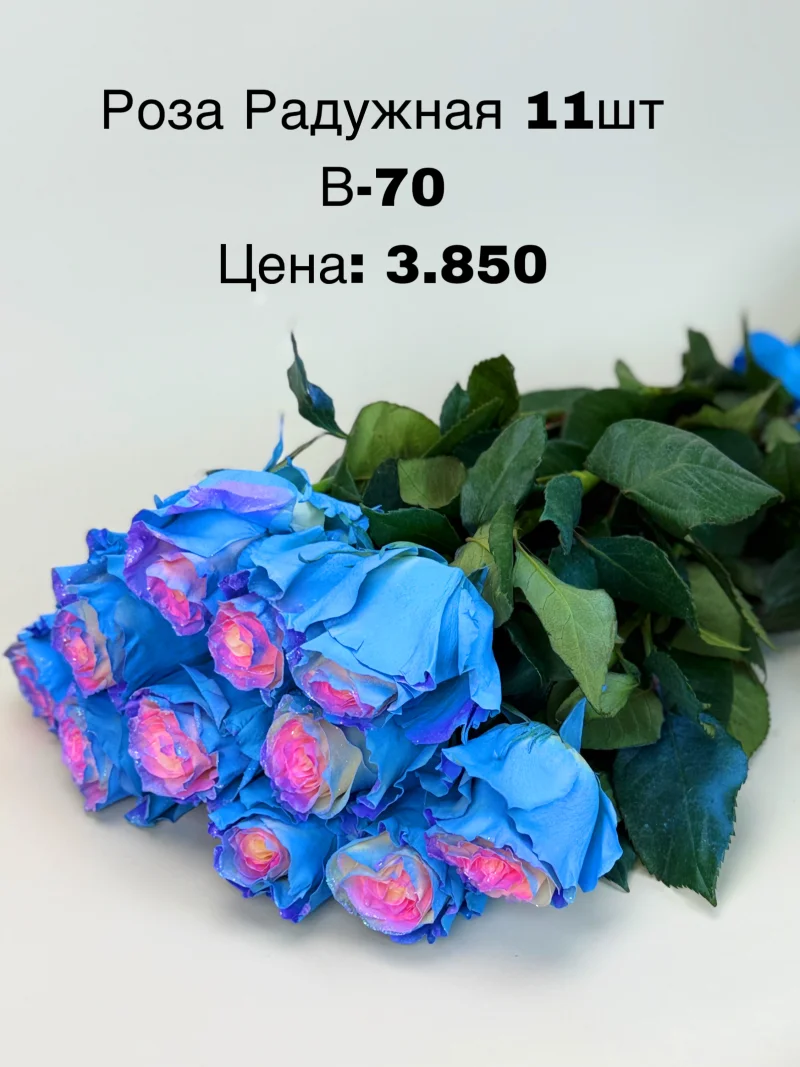 Роза Радужная, 11 шт