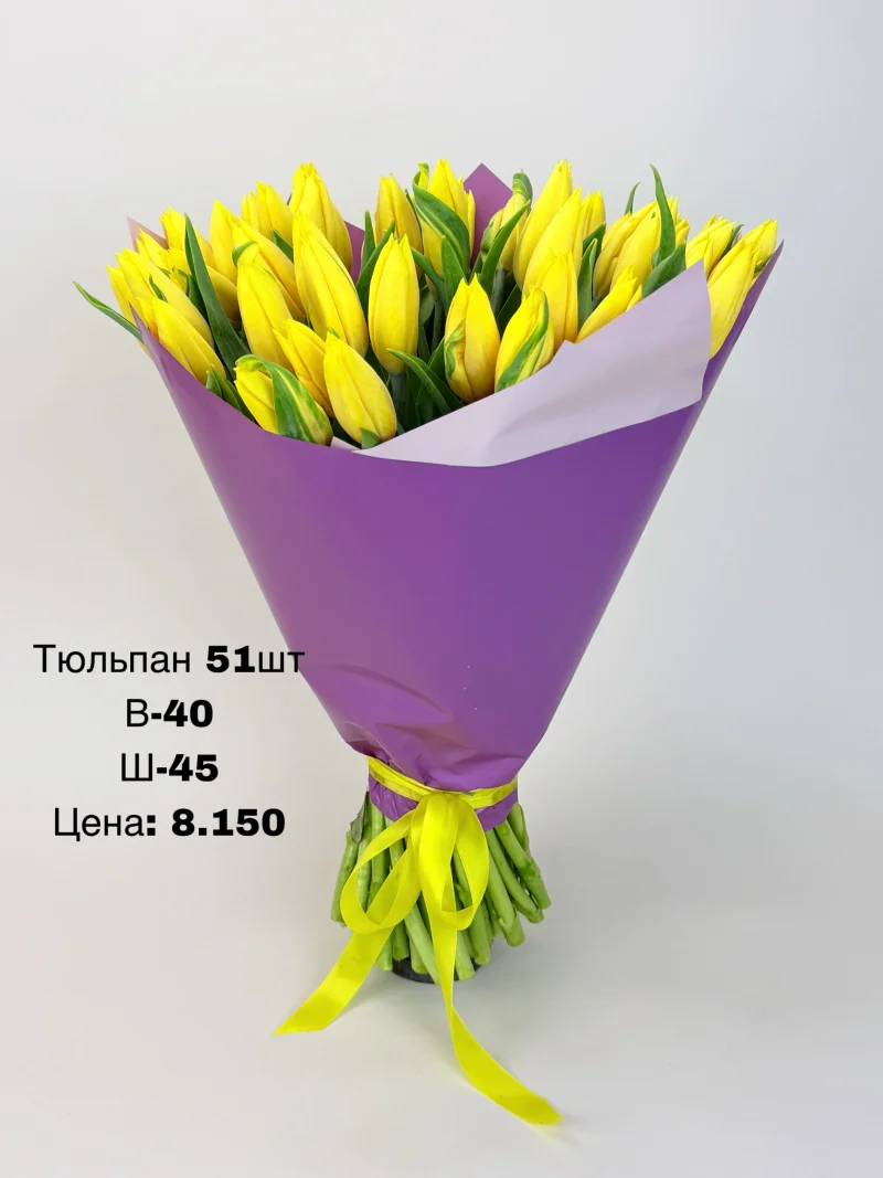 Тюльпаны, 51 шт
