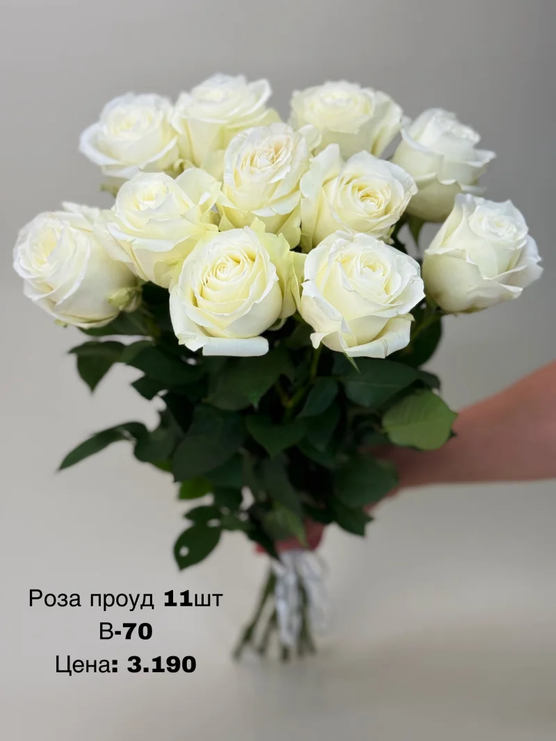 Розы «Proud», 11 шт