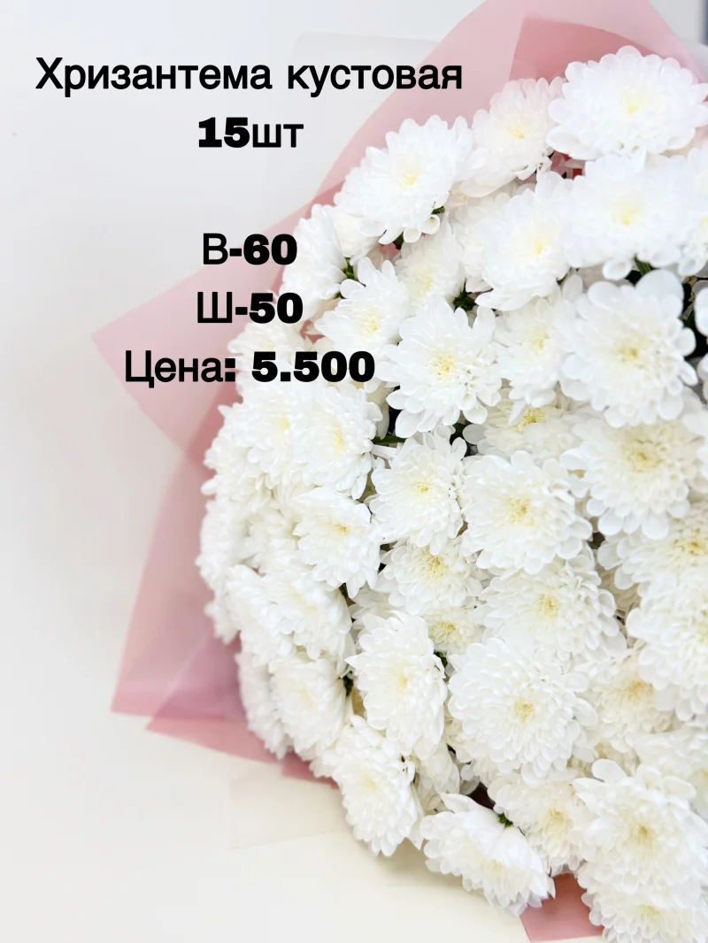 Кустовые хризантемы, 15 шт