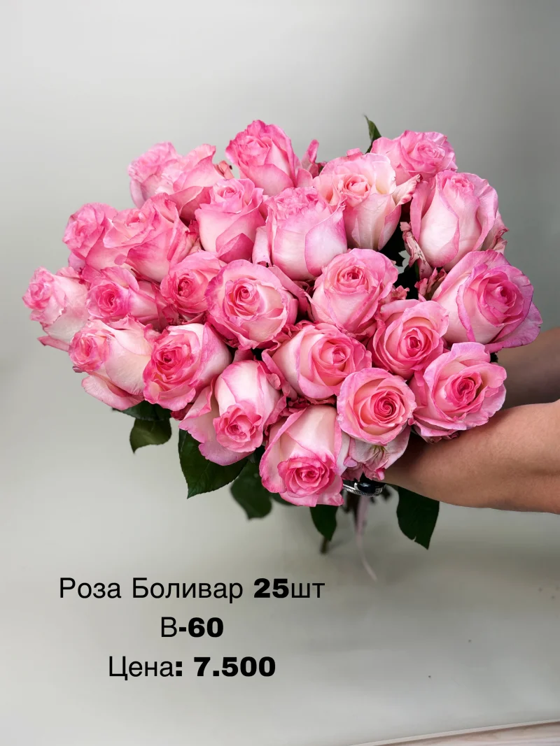 Роза Боливар, 25 шт