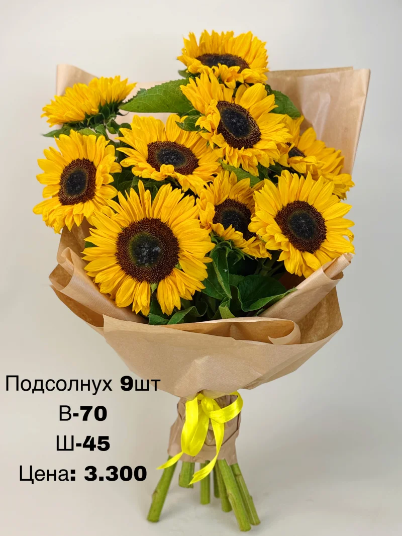 Подсолнух, 9 шт